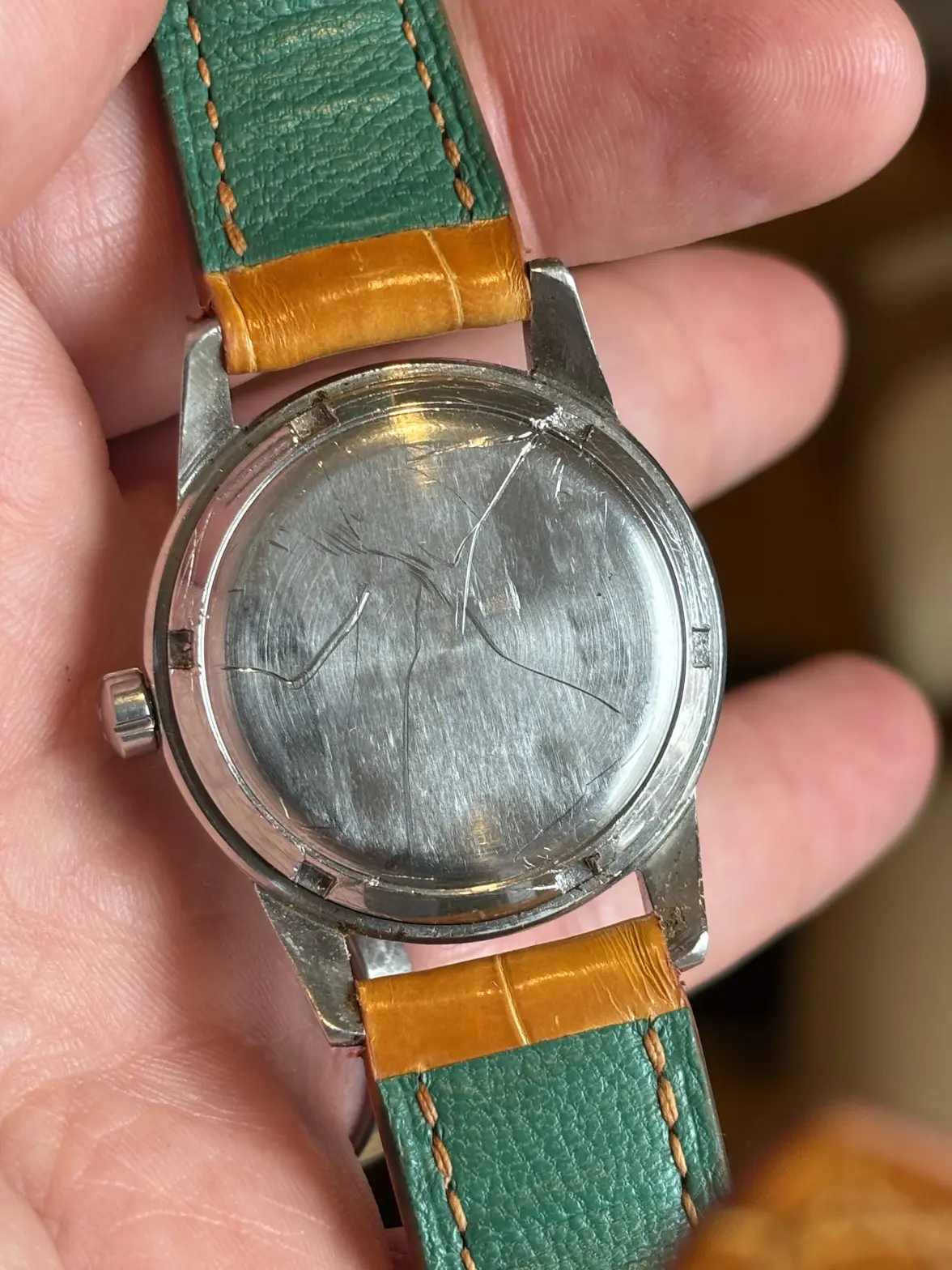 IMG_1069.webp IMG_1069.webp