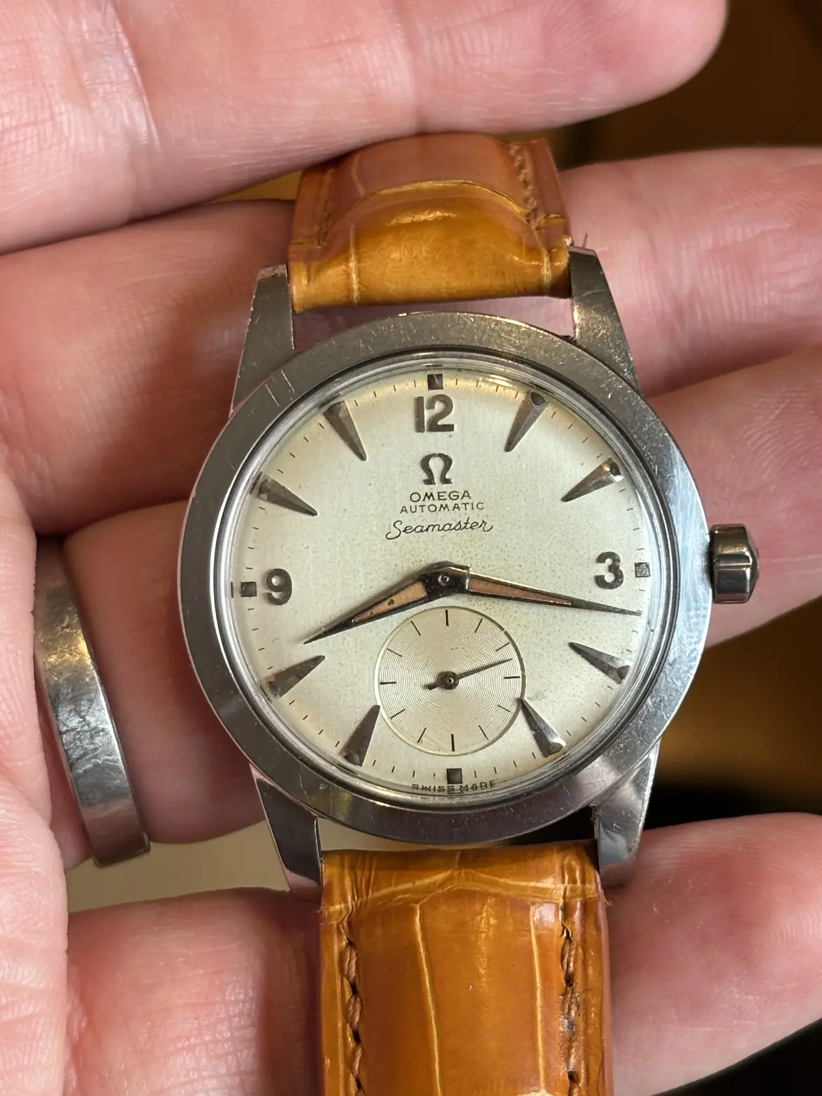 IMG_1067.webp IMG_1067.webp