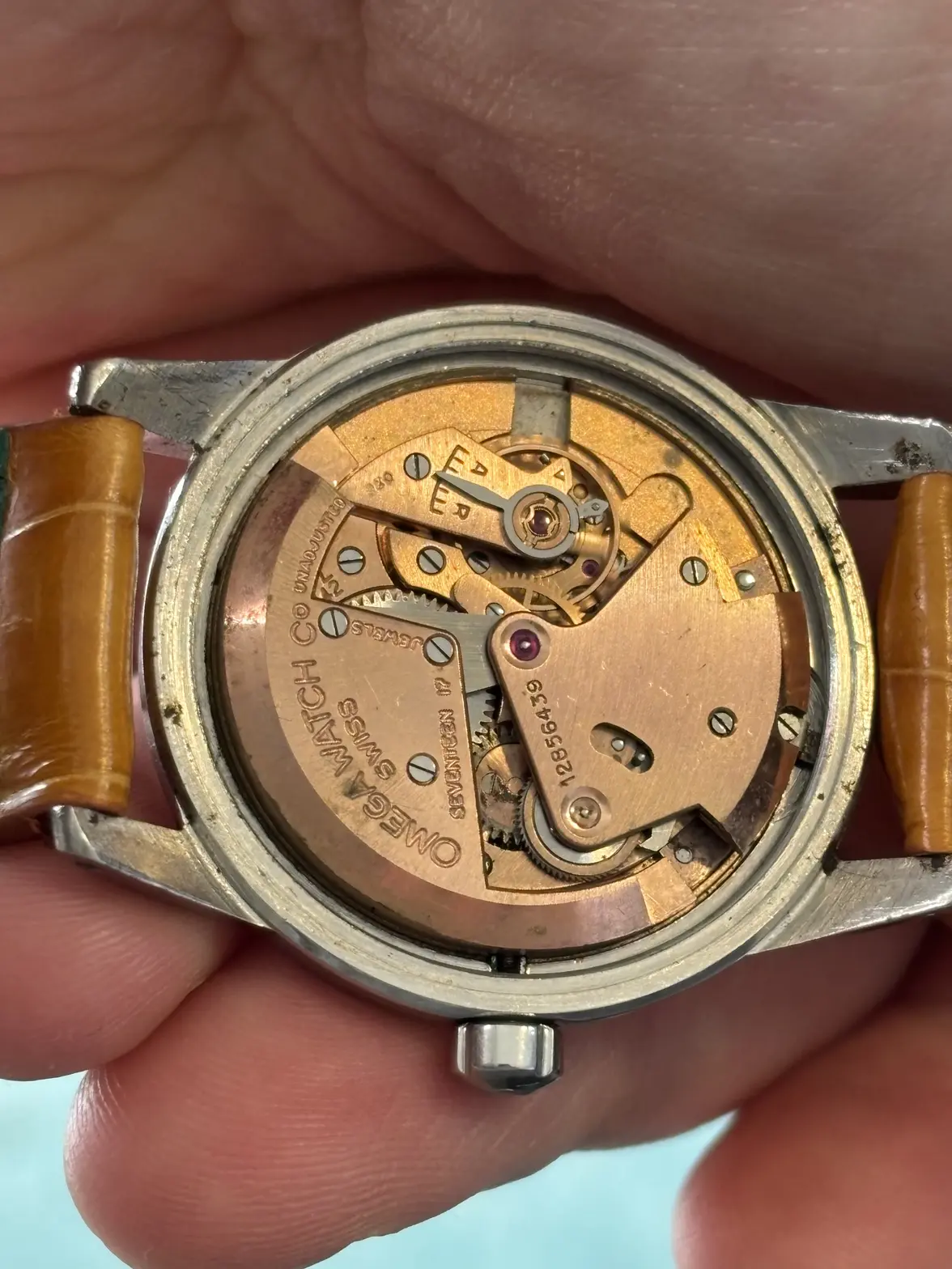 IMG_1065.webp IMG_1065.webp