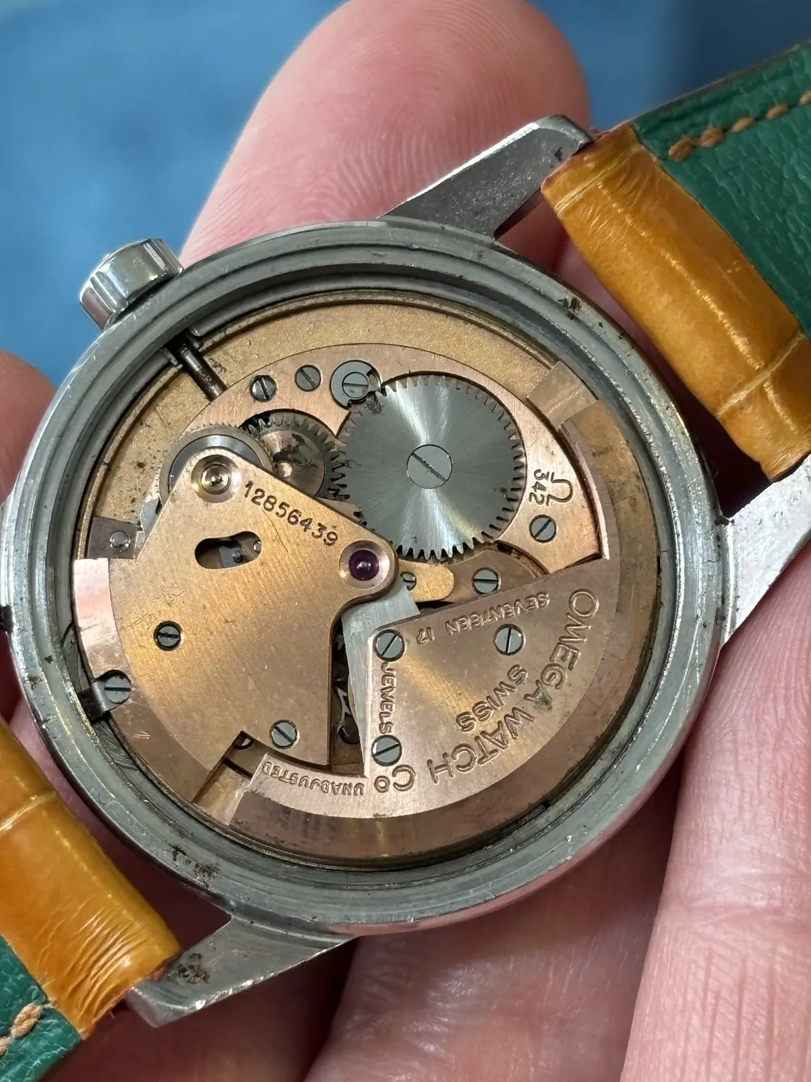 IMG_1064.webp IMG_1064.webp