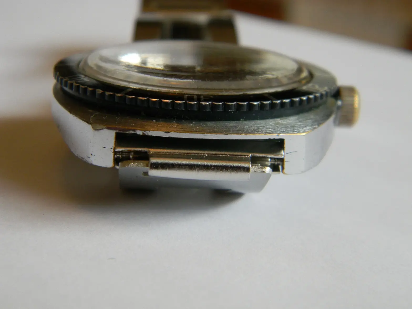 DSCN0813.webp DSCN0813.webp