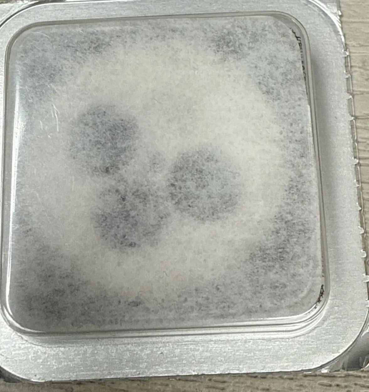 IMG_1313.webp IMG_1313.webp