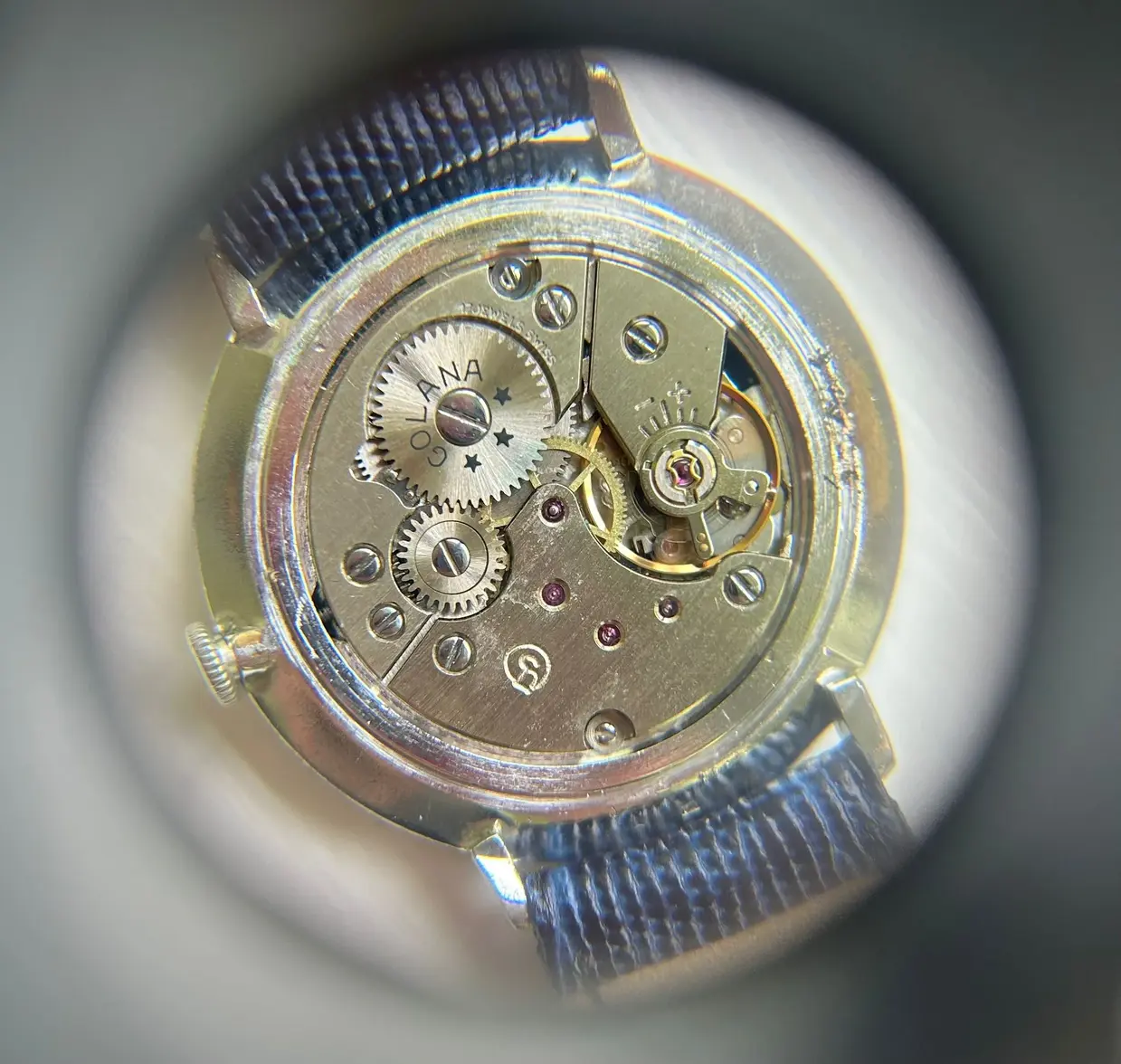 WhatsApp Image 2025-06-20 at 14.27.25_f2354b70.webp