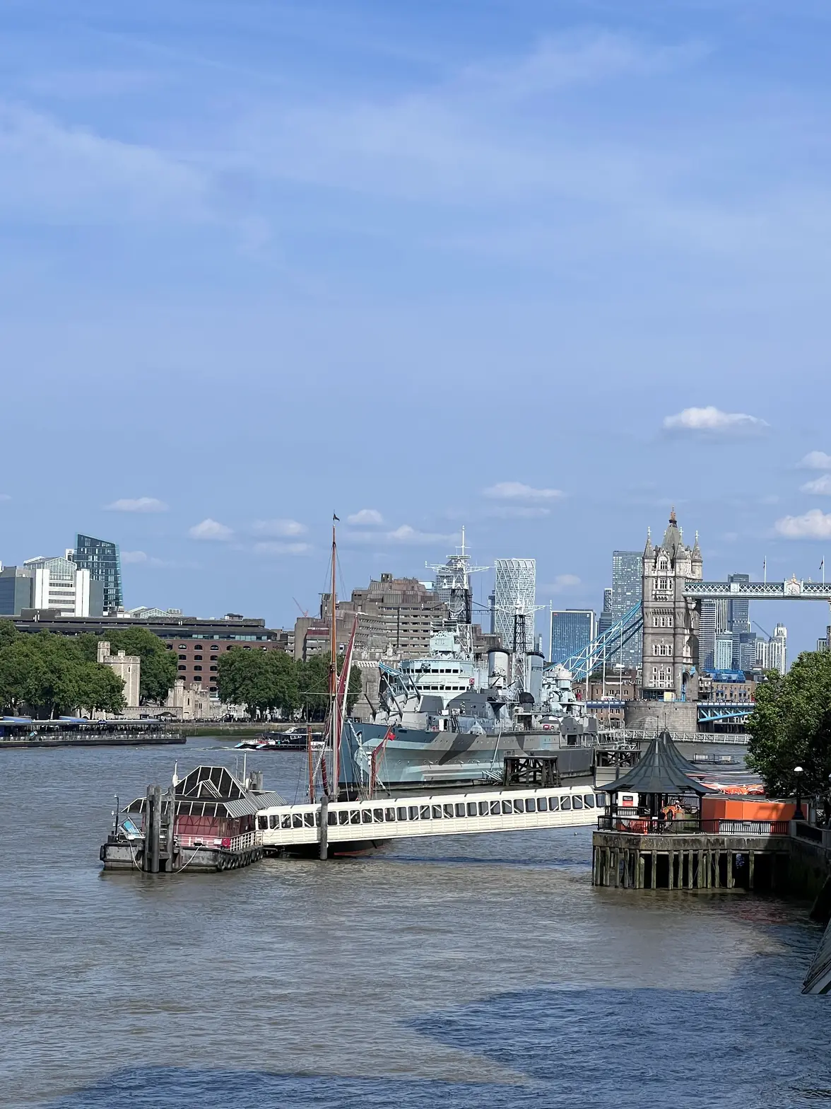 IMG_4667.webp IMG_4667.webp