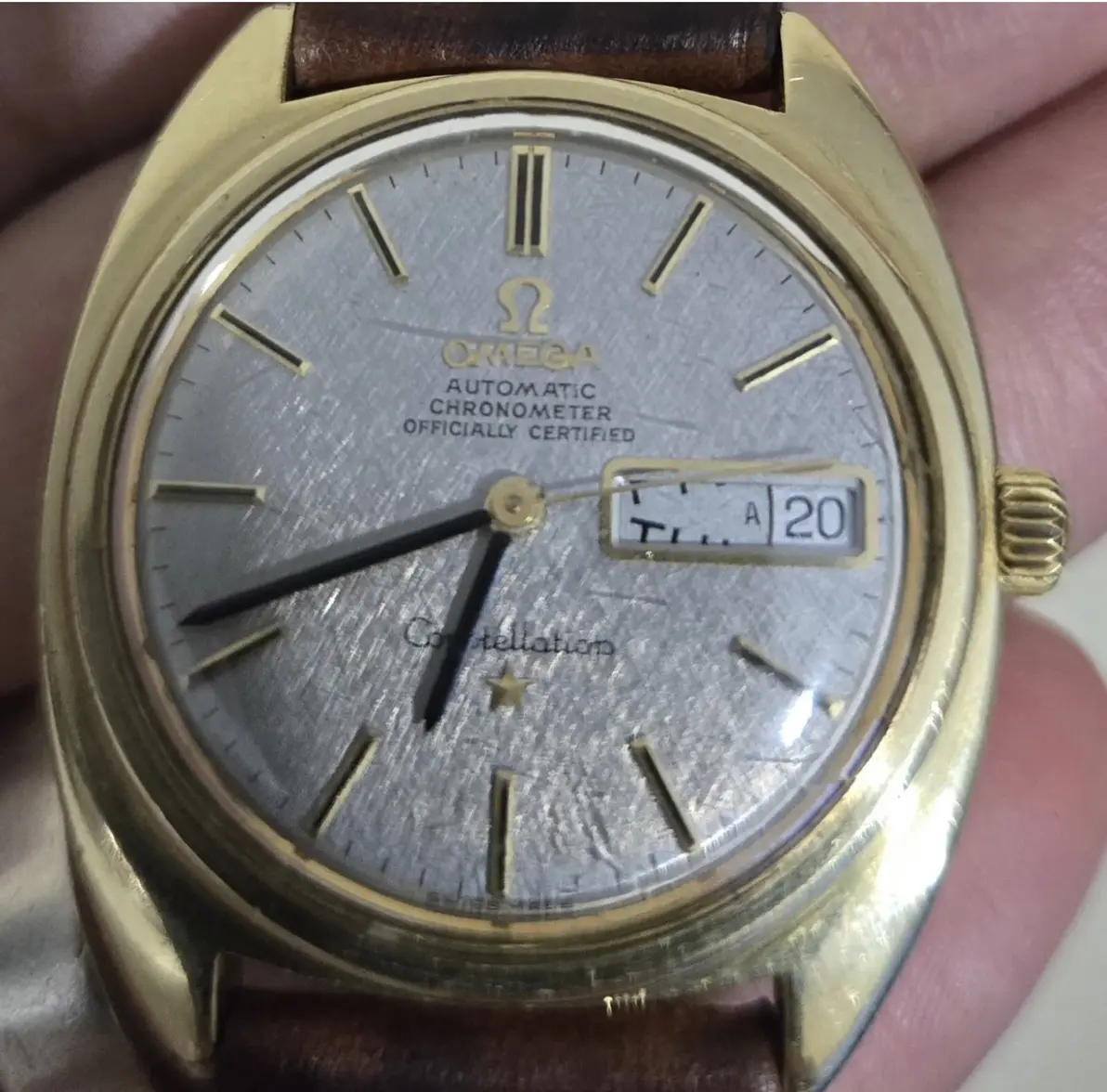 IMG_1830.webp IMG_1830.webp