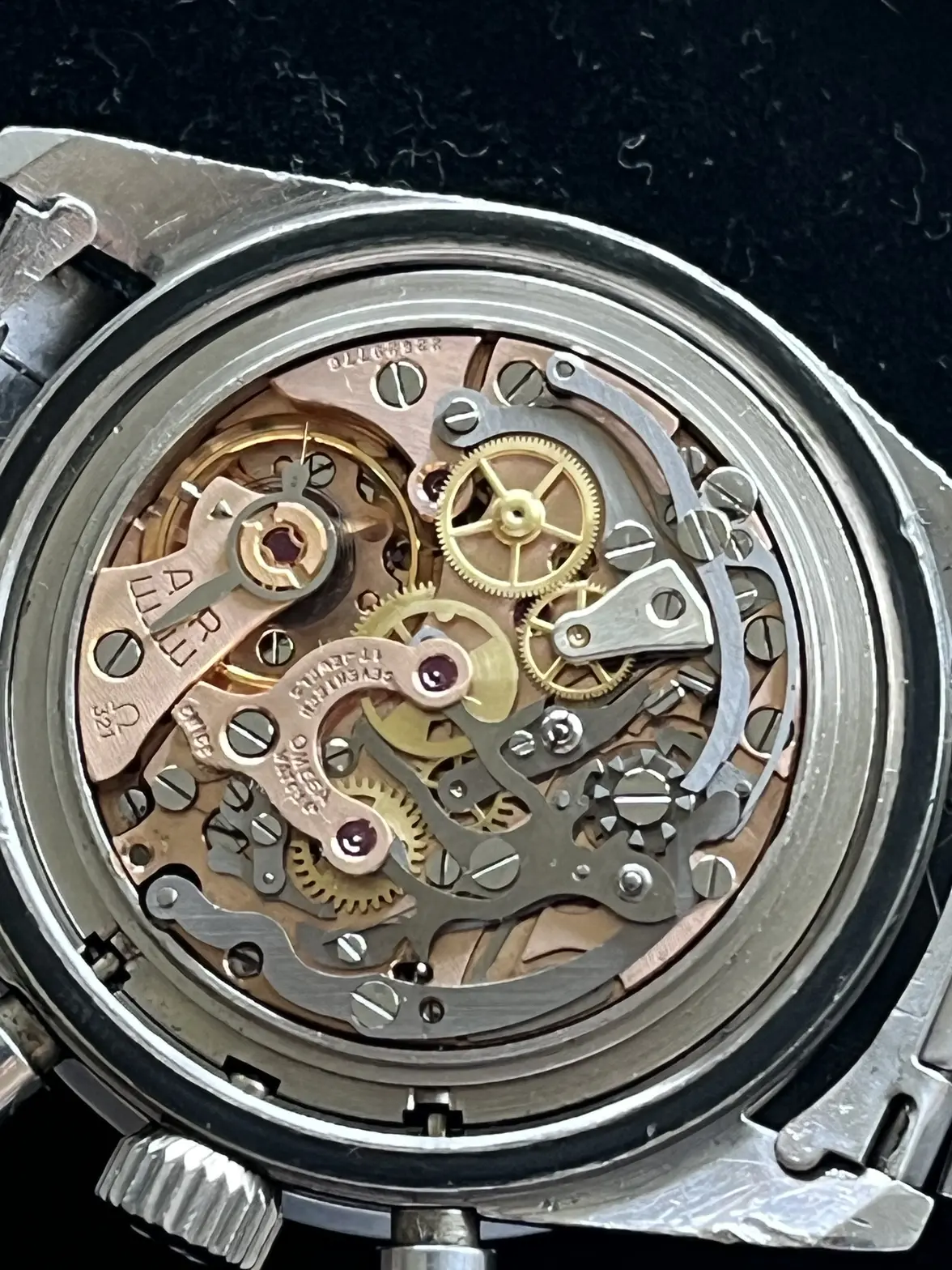 IMG_1996.webp IMG_1996.webp