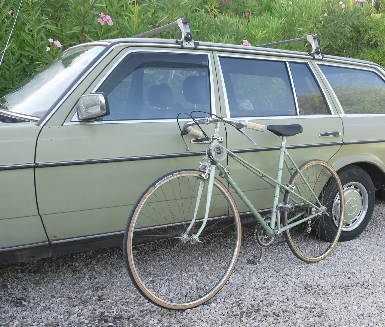 IMG_2185 teh grün m.webp