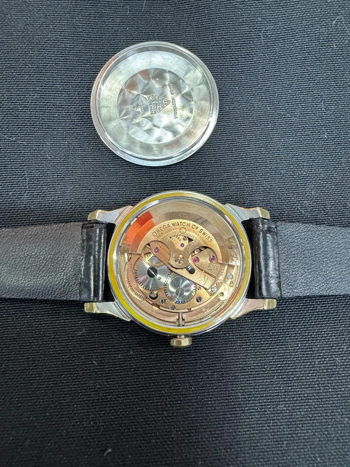 WhatsApp Image 2025-06-27 at 3.18.41 PM.webp