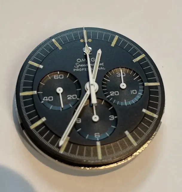 IMG_1848.webp IMG_1848.webp