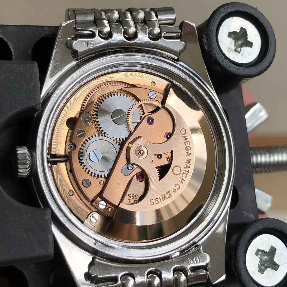 IMG_0450.webp IMG_0450.webp