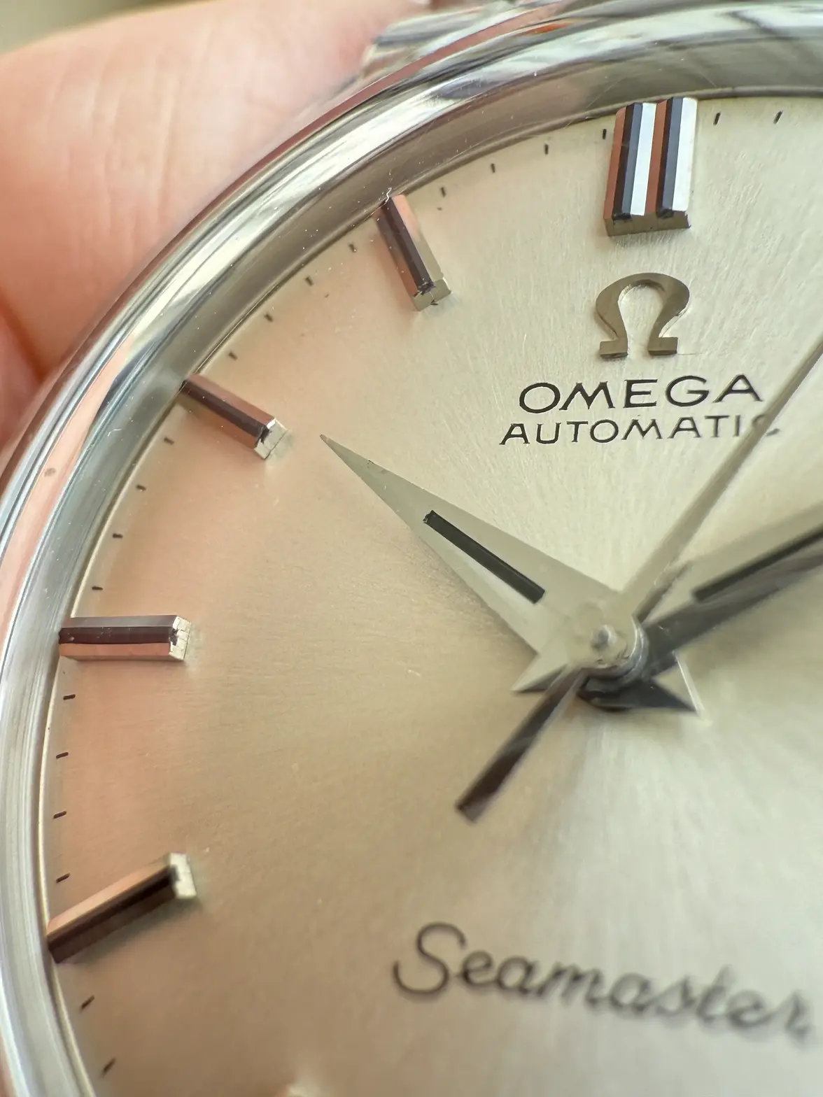 IMG_4393.webp IMG_4393.webp