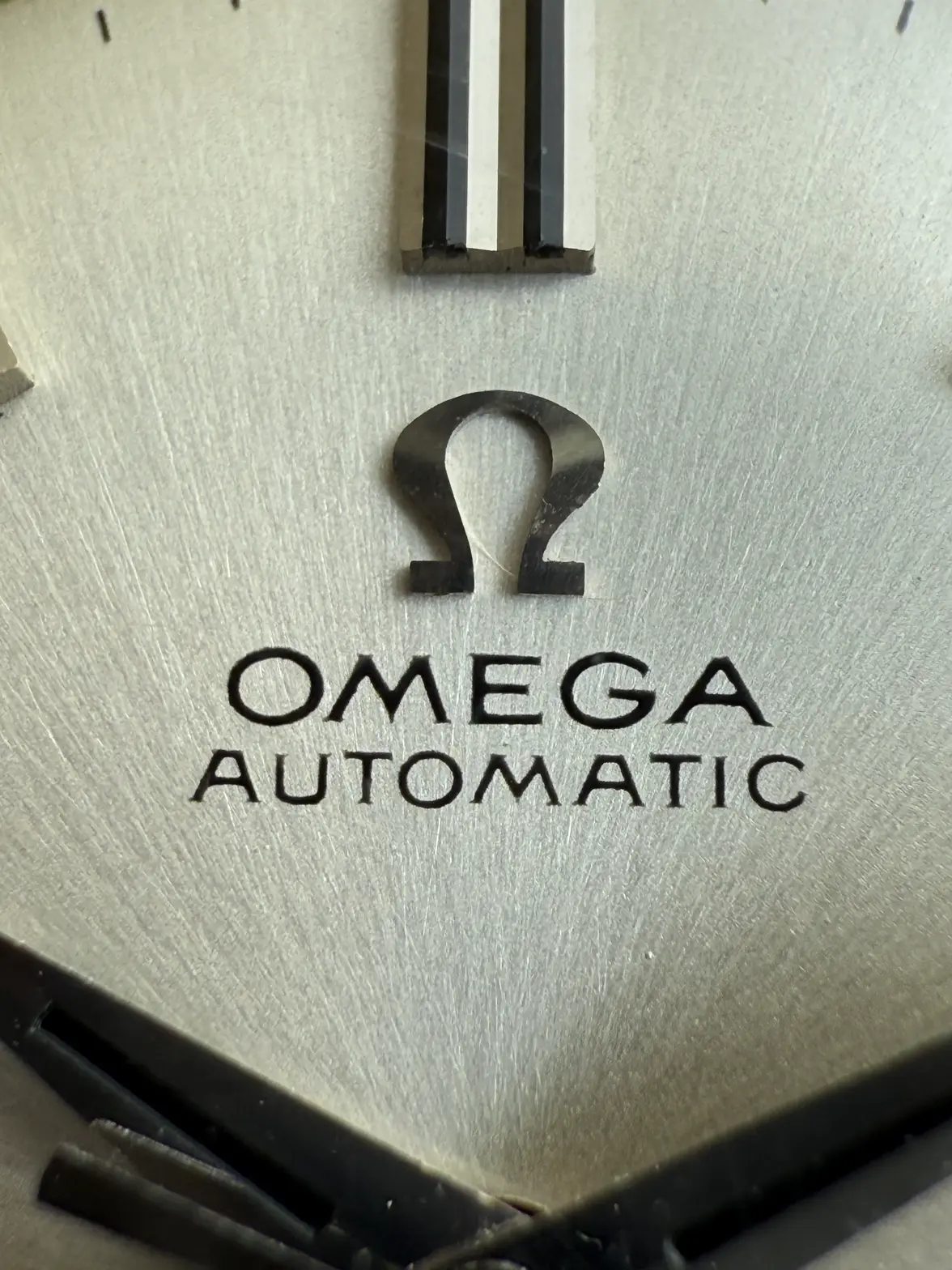 IMG_4394.webp IMG_4394.webp