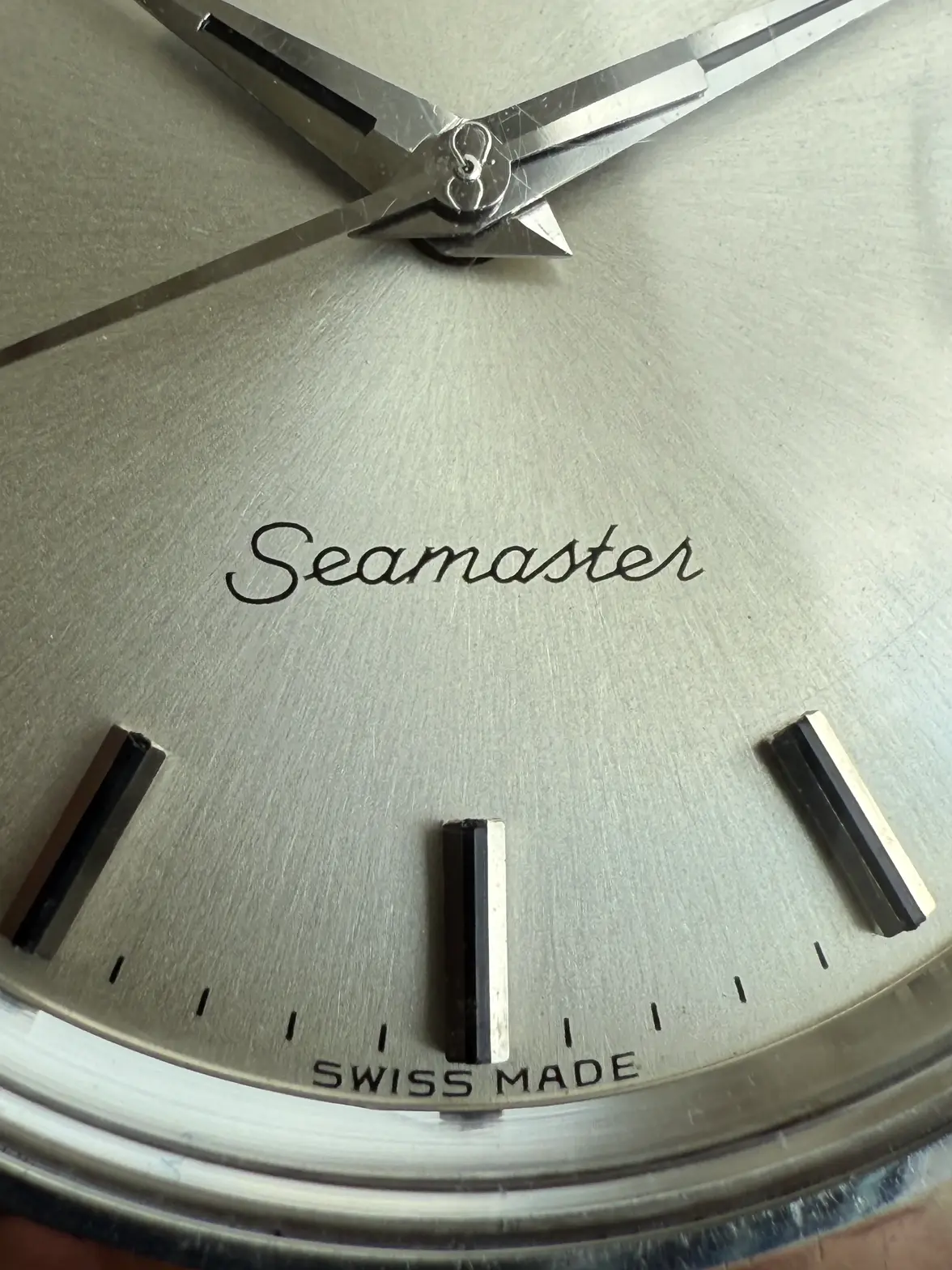 IMG_4395.webp IMG_4395.webp