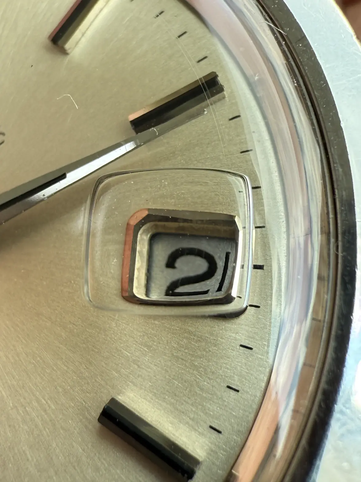 IMG_4396.webp IMG_4396.webp