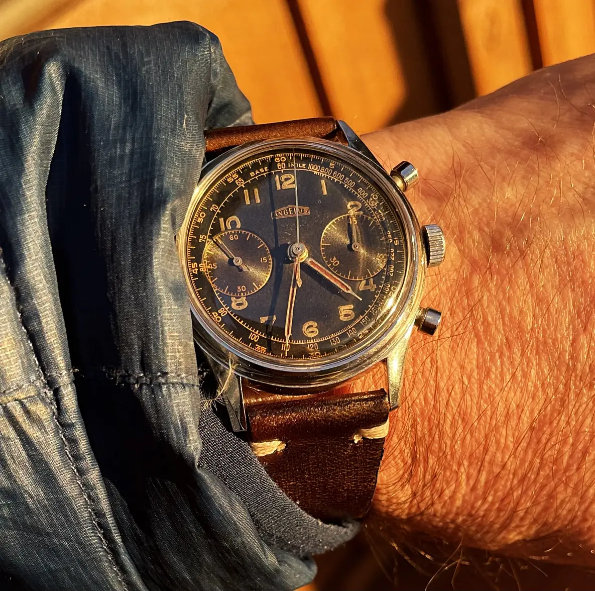 AngelusWrst-alt3.webp AngelusWrst-alt3.webp