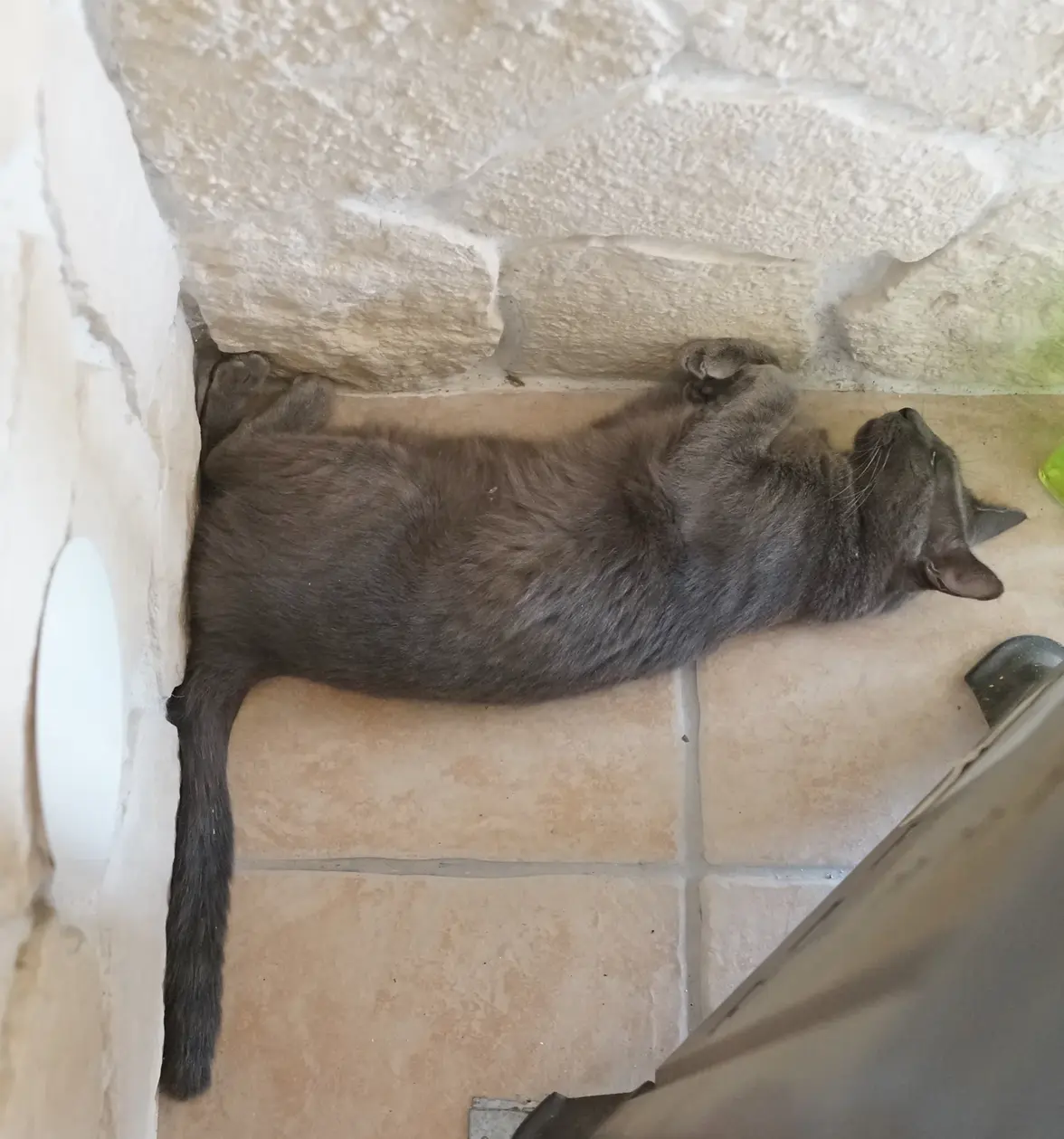 DSC01809  90 Grad prince.webp