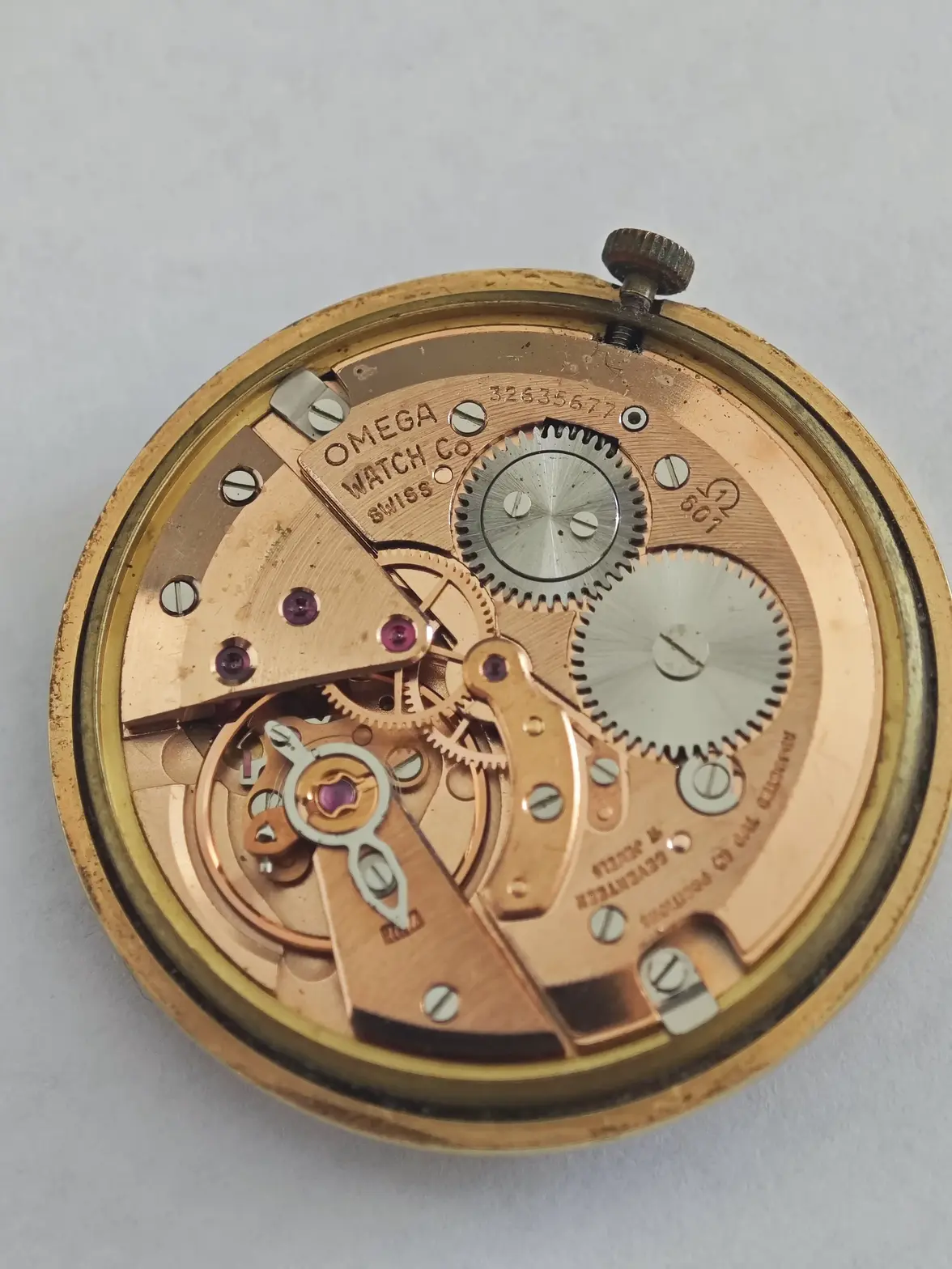 WhatsApp Image 2025-06-30 at 11.32.07_406951e1.webp