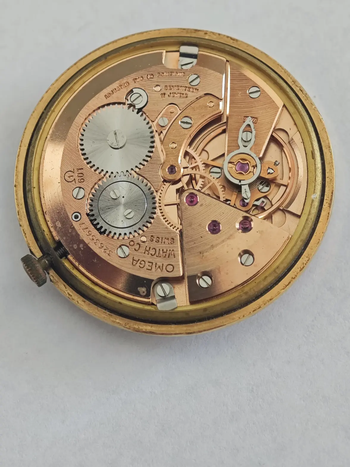 WhatsApp Image 2025-06-30 at 11.32.06_46b79b57.webp