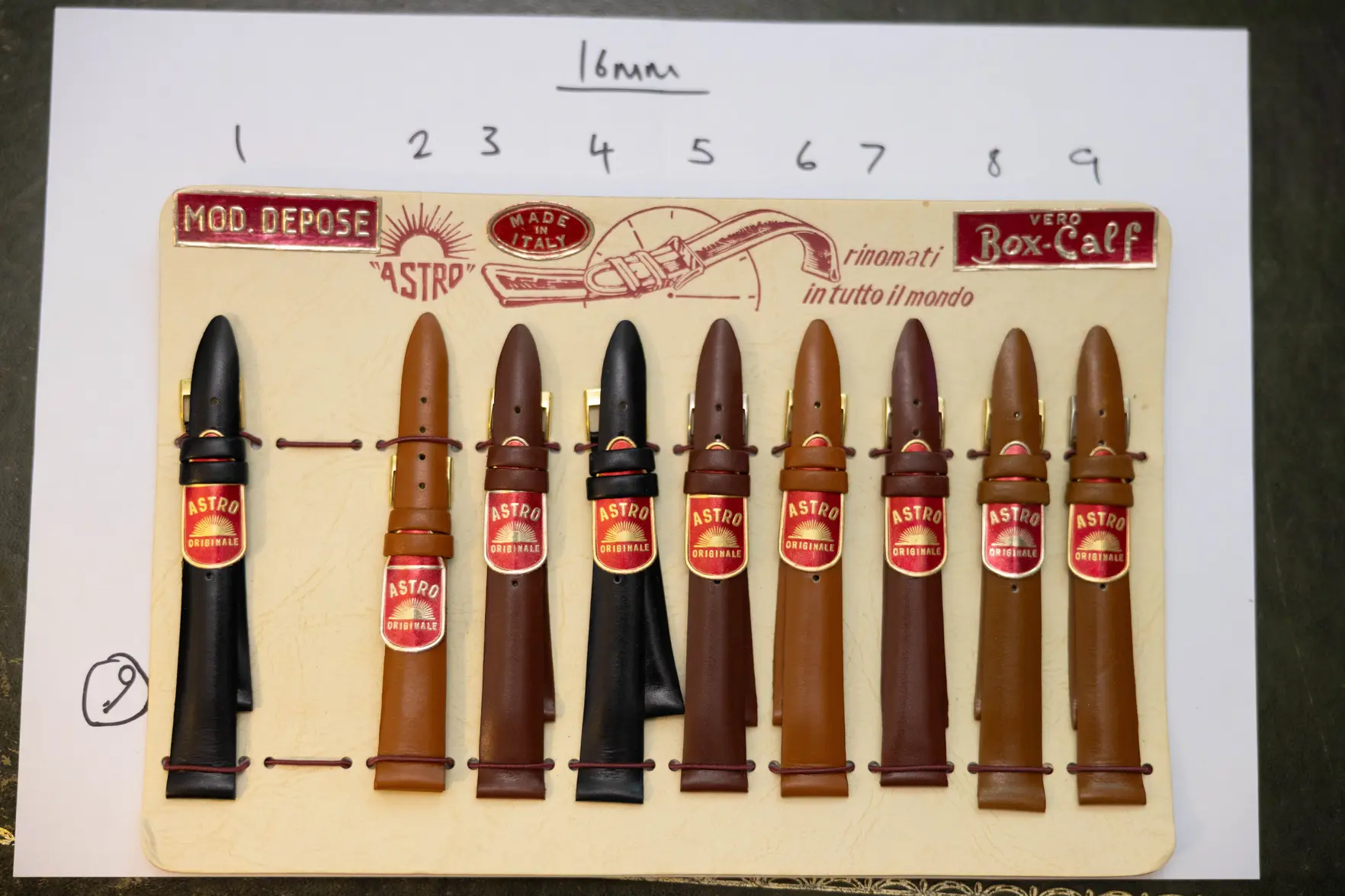 _L5A9928.webp _L5A9928.webp