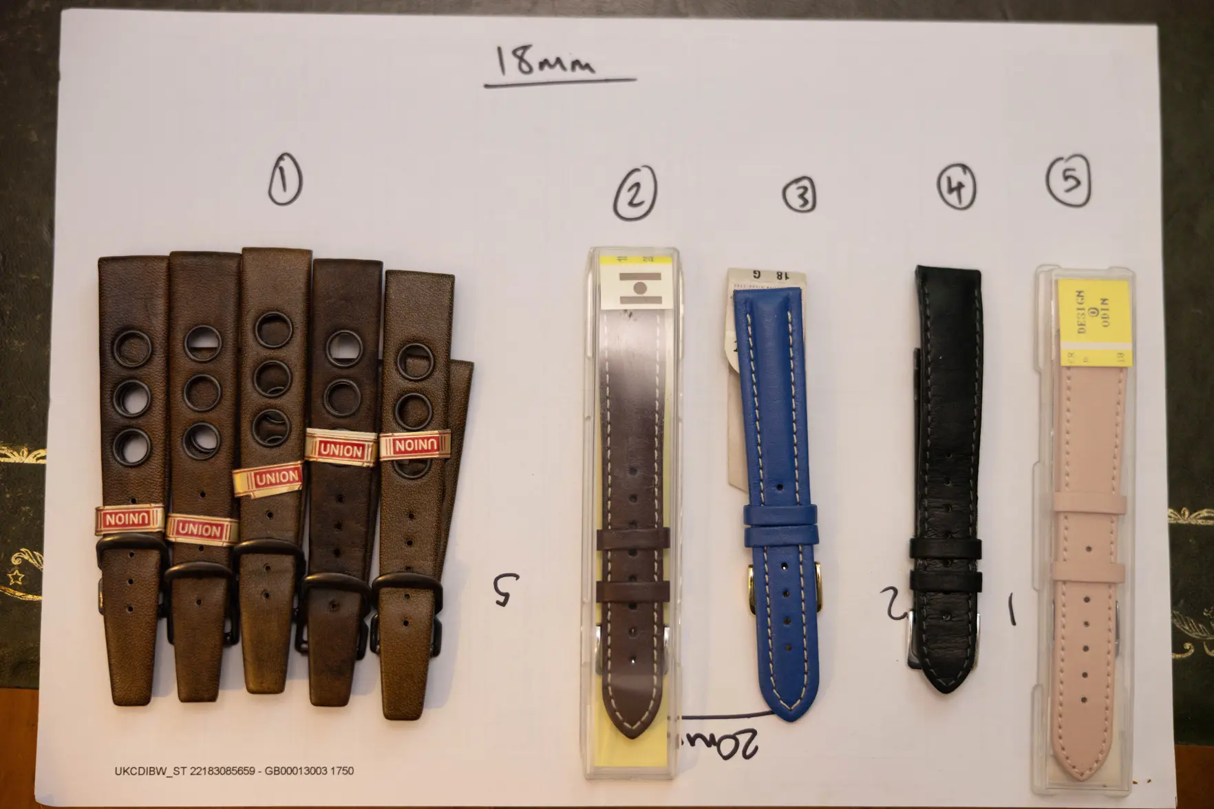 _L5A9937.webp _L5A9937.webp