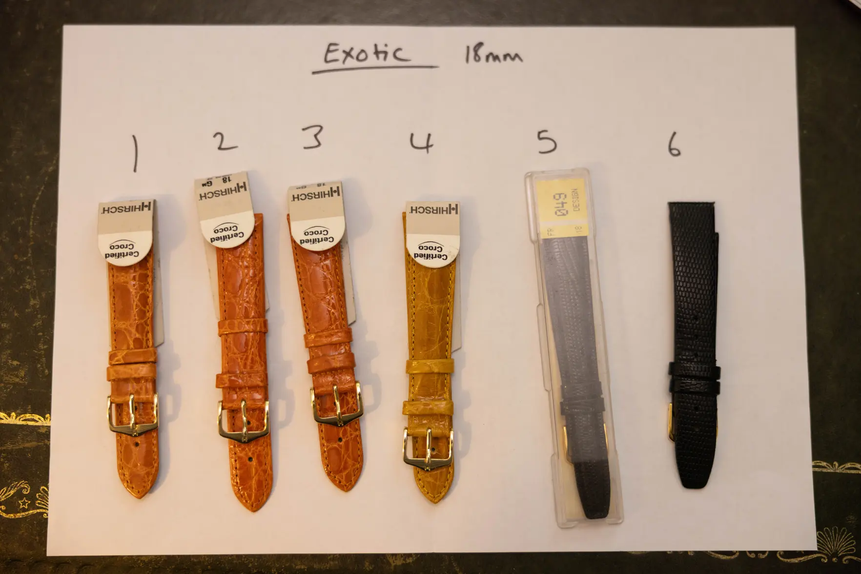 _L5A9949.webp _L5A9949.webp