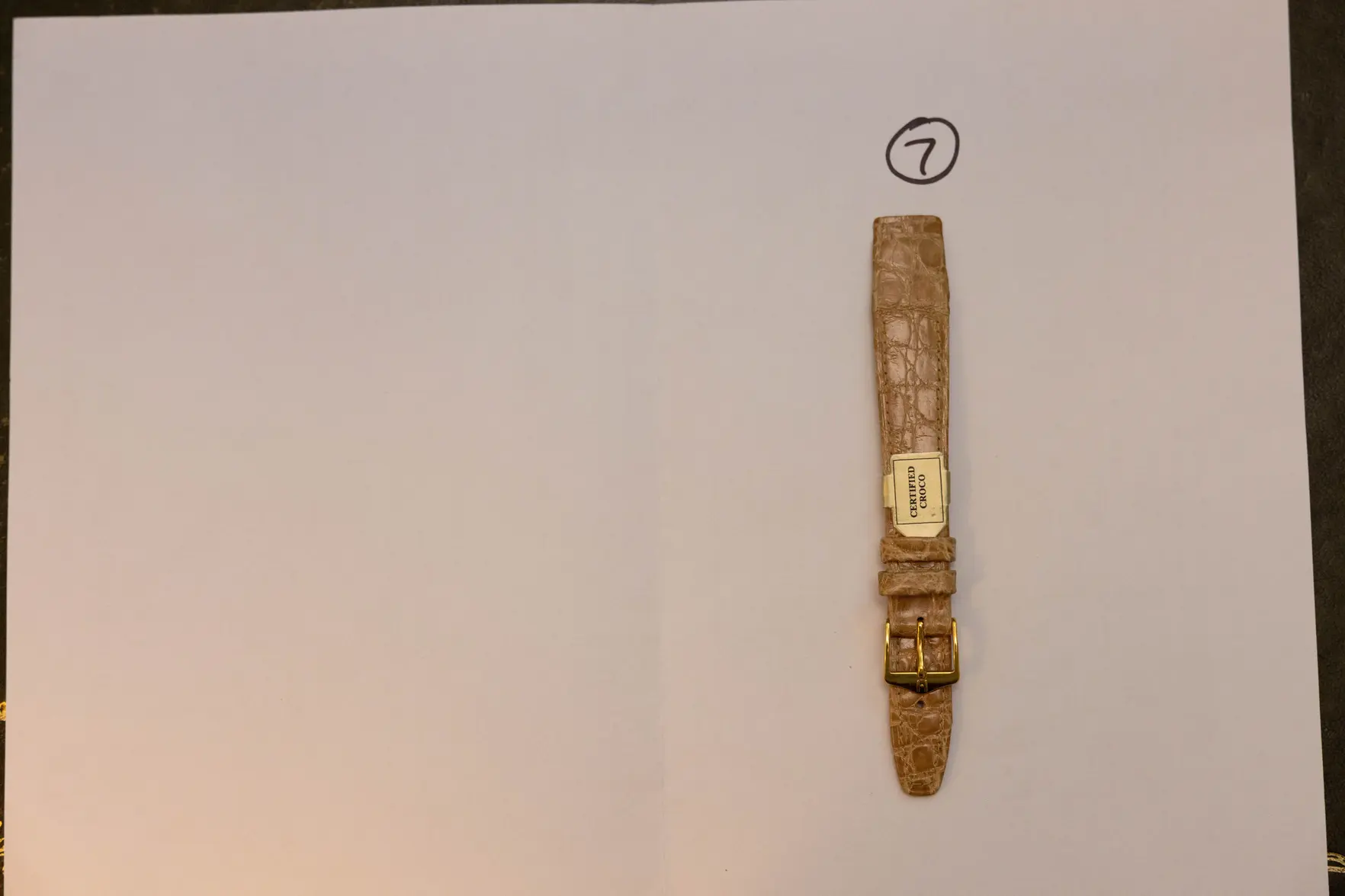 _L5A9953.webp _L5A9953.webp