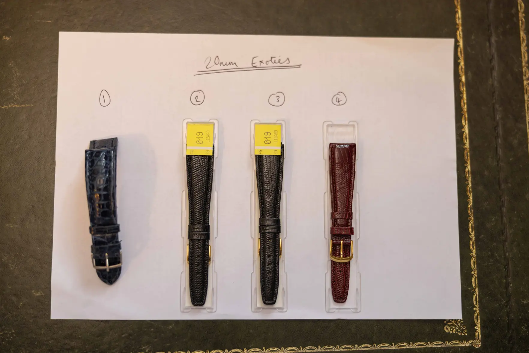 _L5A0217.webp _L5A0217.webp