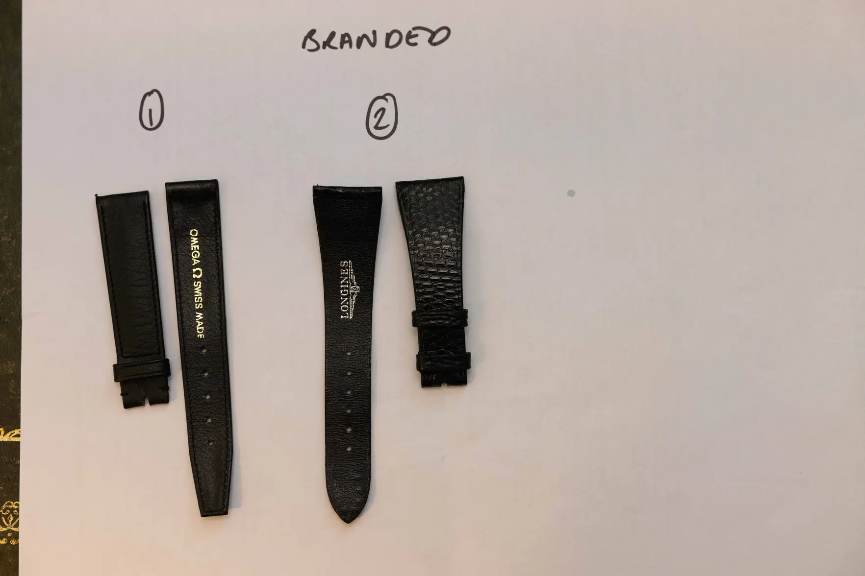 _L5A9956.webp _L5A9956.webp