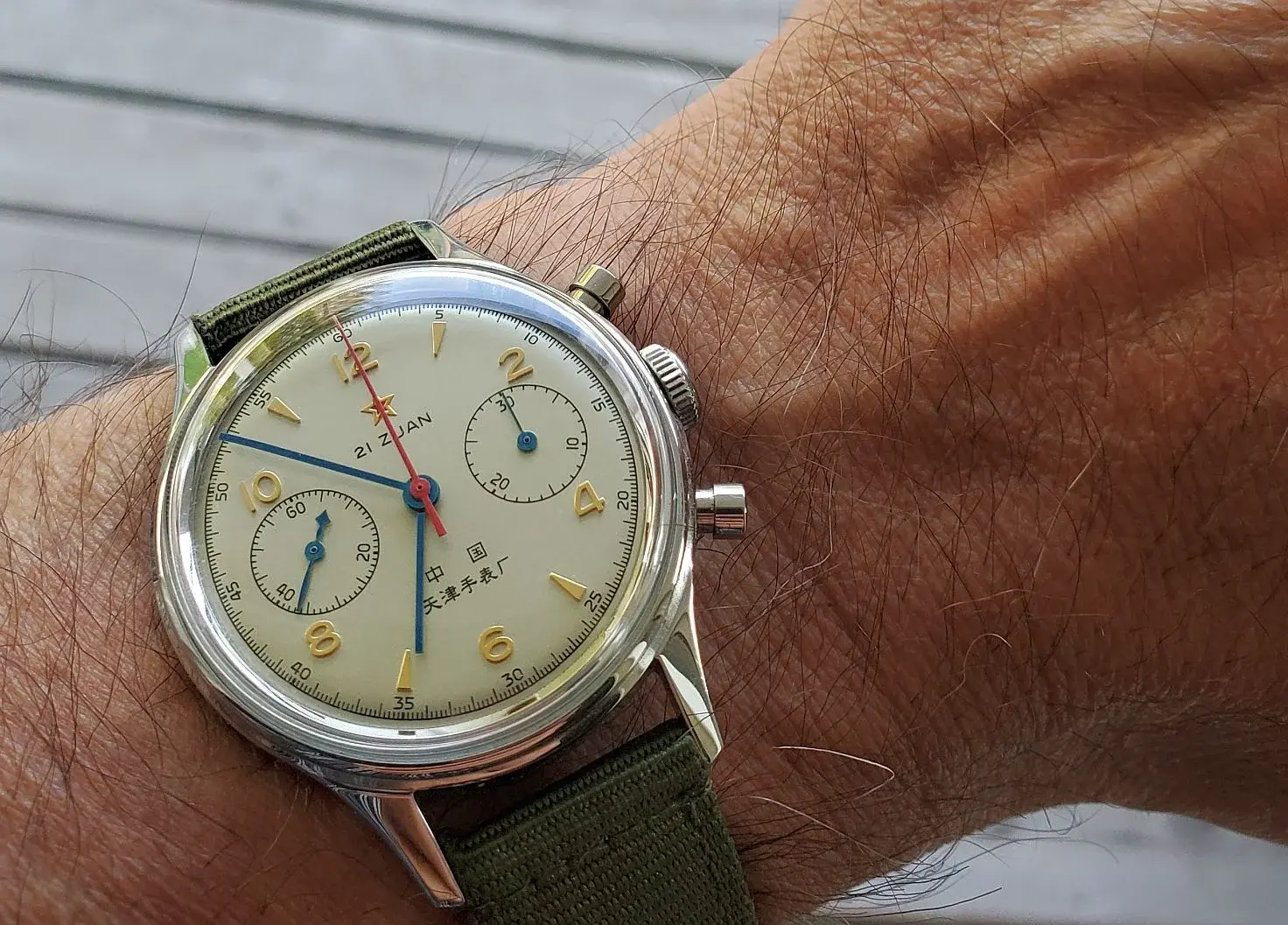 Seagull ws 1 20250705_065237.webp