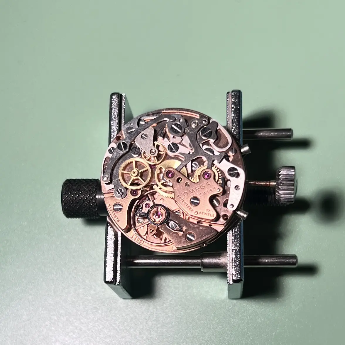 IMG_8733.webp IMG_8733.webp