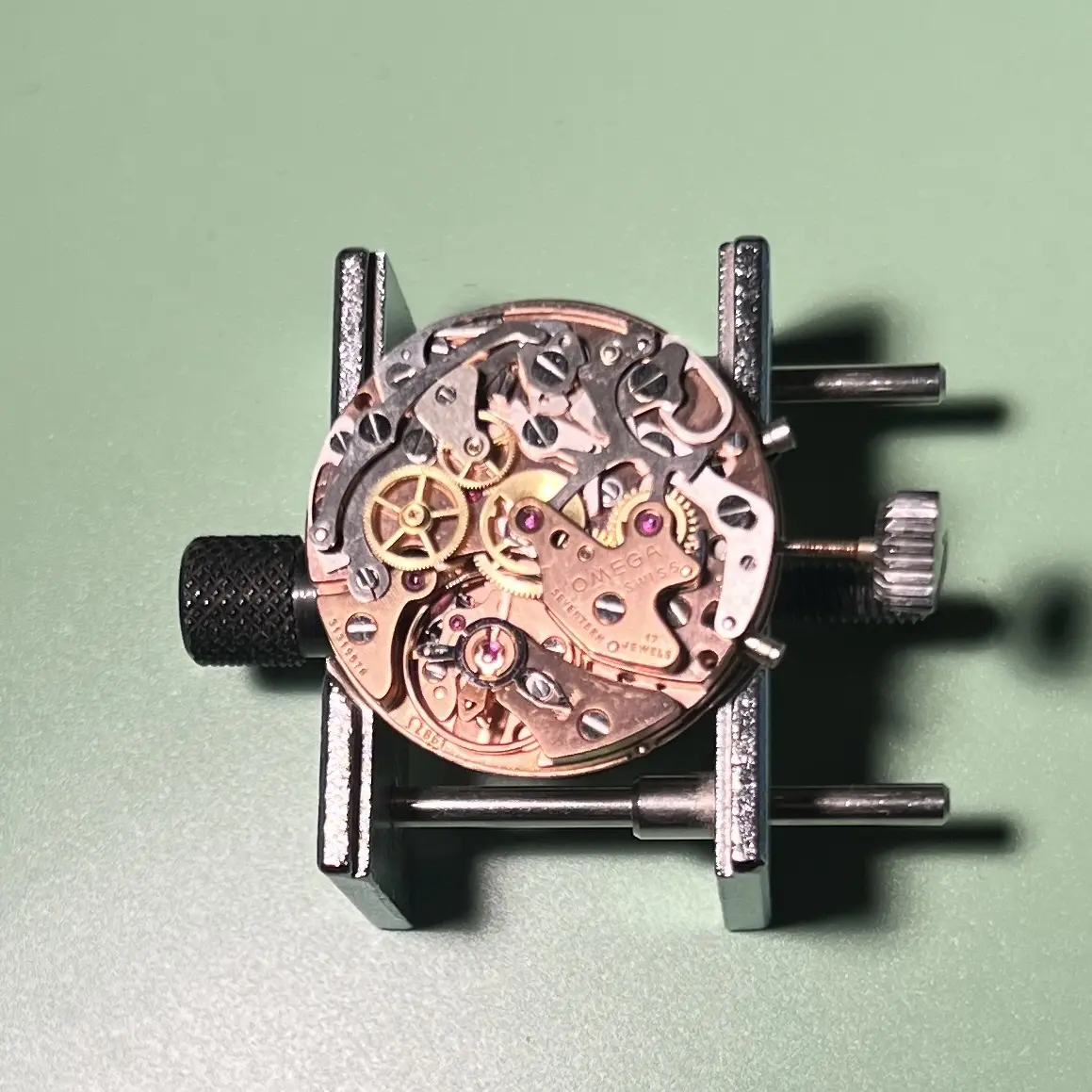 IMG_8735.webp IMG_8735.webp