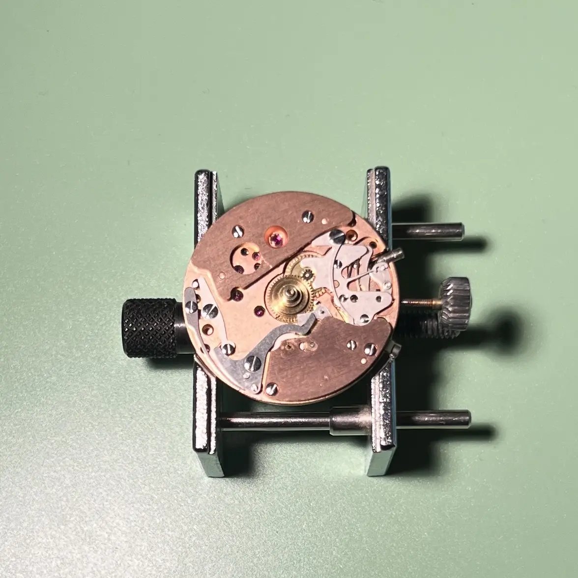 IMG_8737.webp IMG_8737.webp