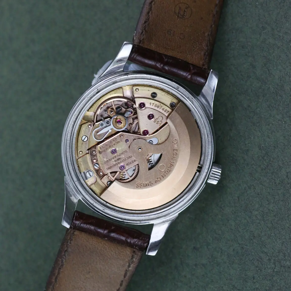 serial no. 17367437.webp