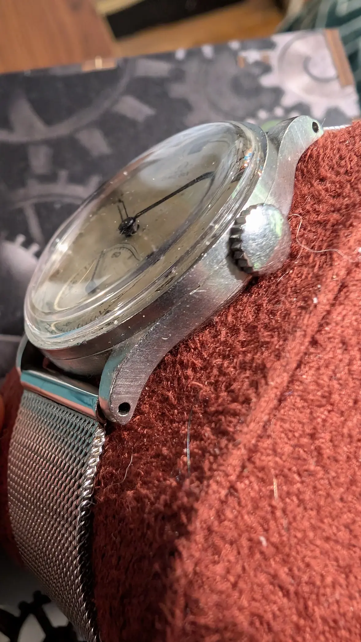 PXL_20250528_182152717.MP.webp PXL_20250528_182152717.MP.webp