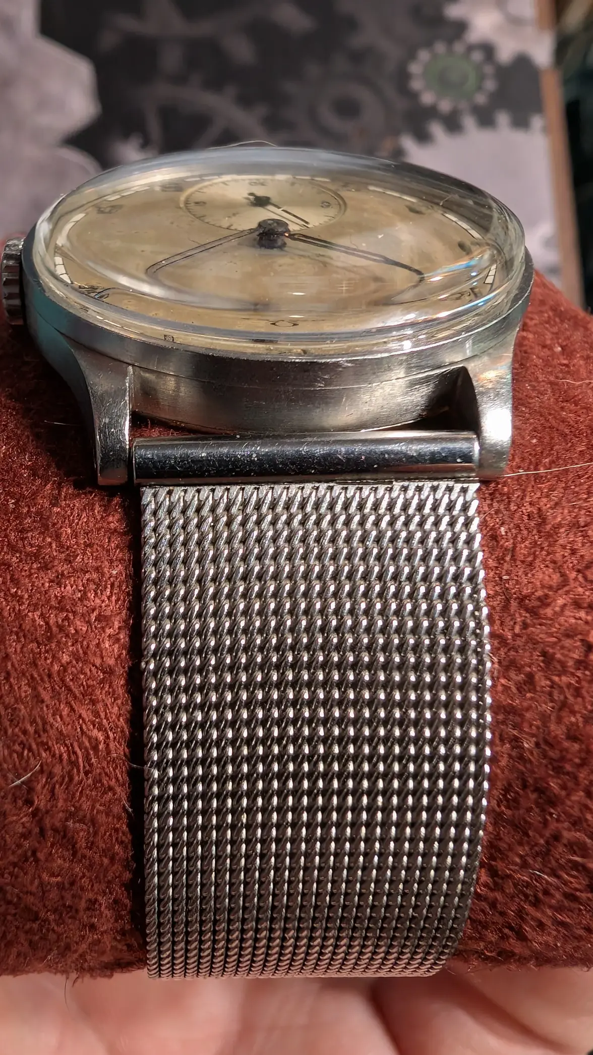 PXL_20250528_182159830.MP.webp PXL_20250528_182159830.MP.webp