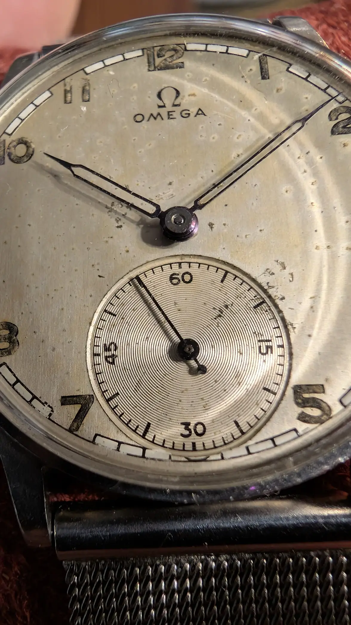 PXL_20250528_182212713.MP.webp PXL_20250528_182212713.MP.webp