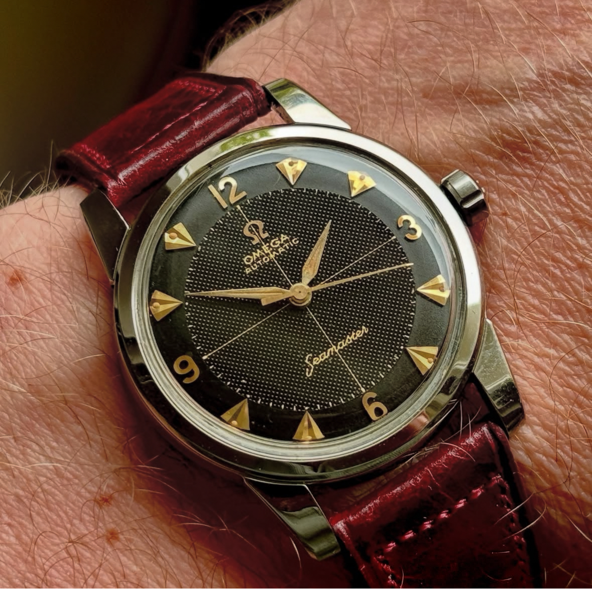 IMG_7302.webp IMG_7302.webp