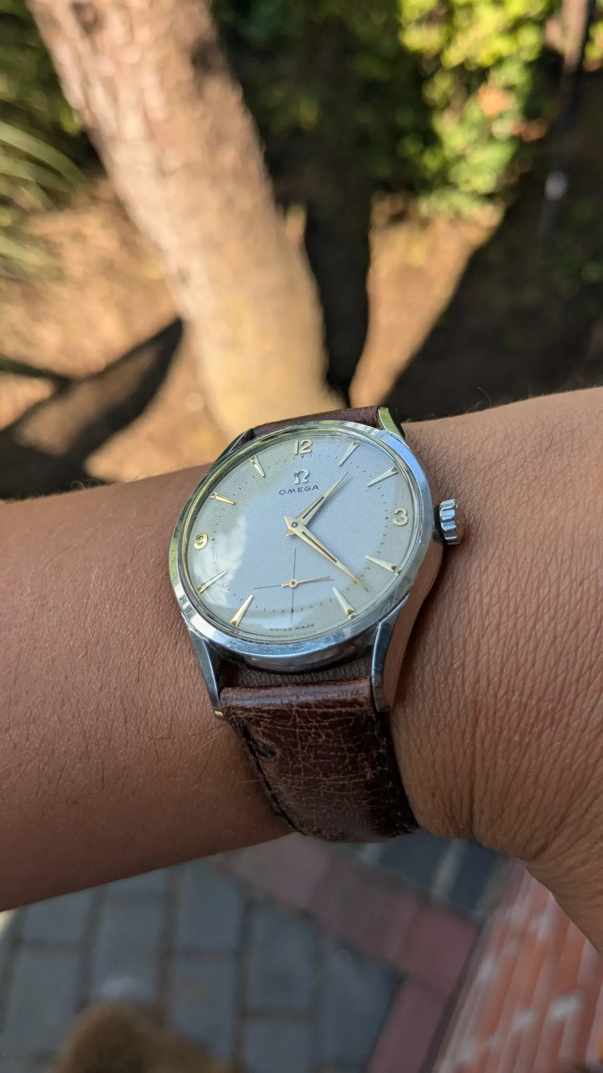 PXL_20250708_202040418.webp PXL_20250708_202040418.webp