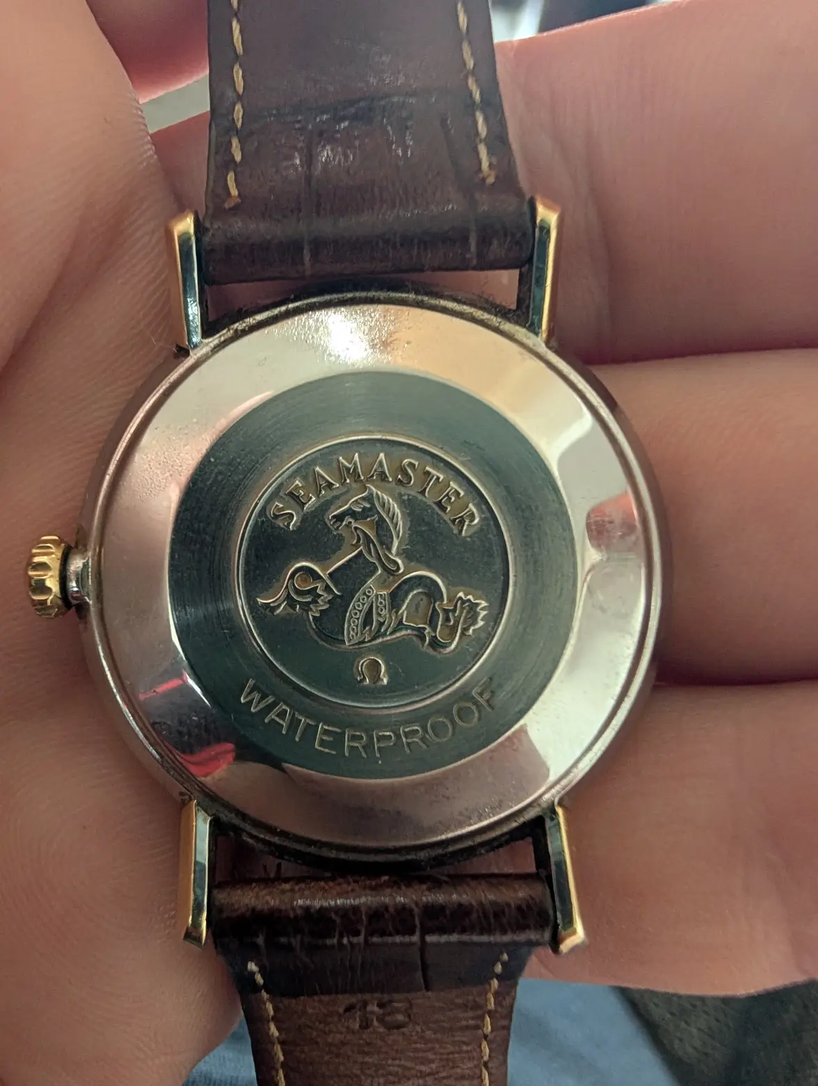 PXL_20250709_115423506.webp PXL_20250709_115423506.webp