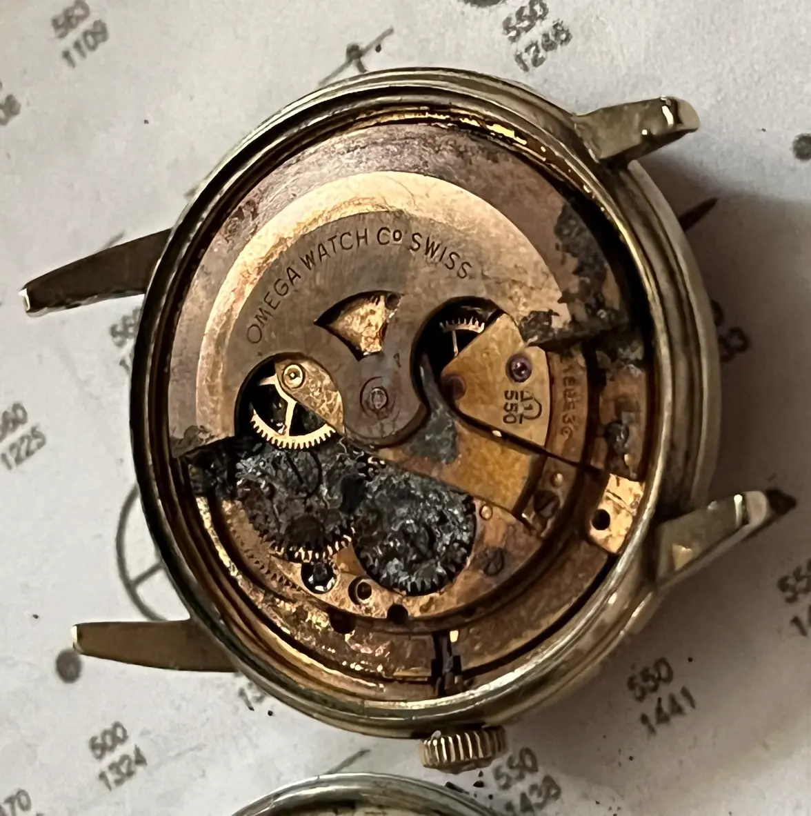 IMG_4814.webp IMG_4814.webp