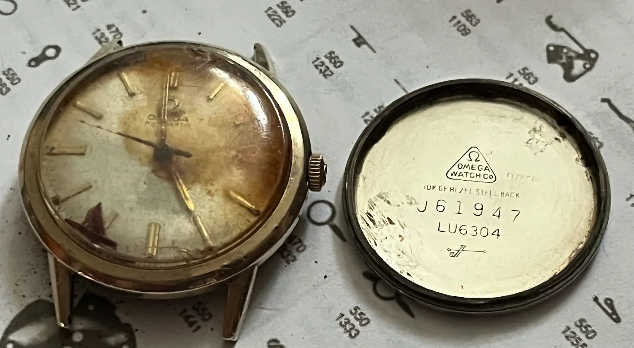 IMG_4813.webp IMG_4813.webp