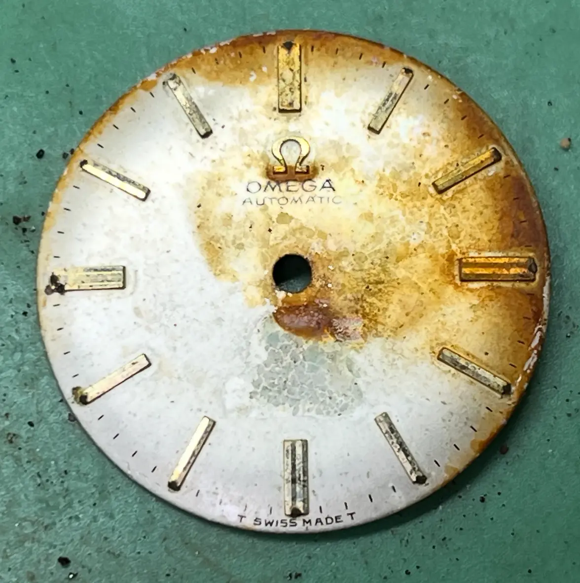 IMG_4819.webp IMG_4819.webp