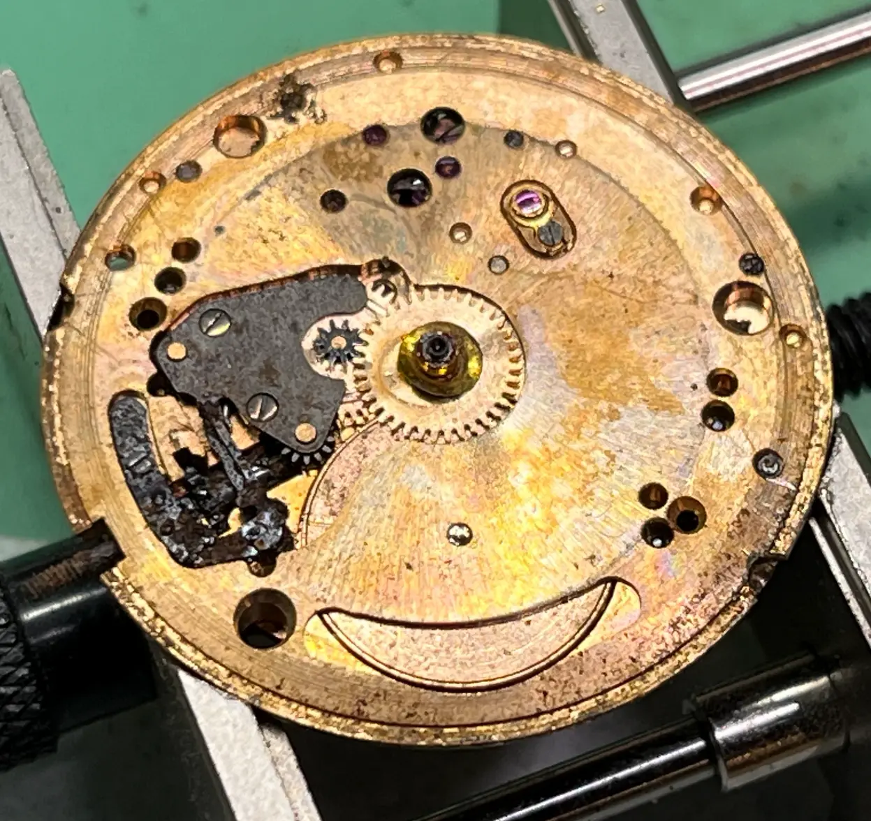 IMG_4817.webp IMG_4817.webp