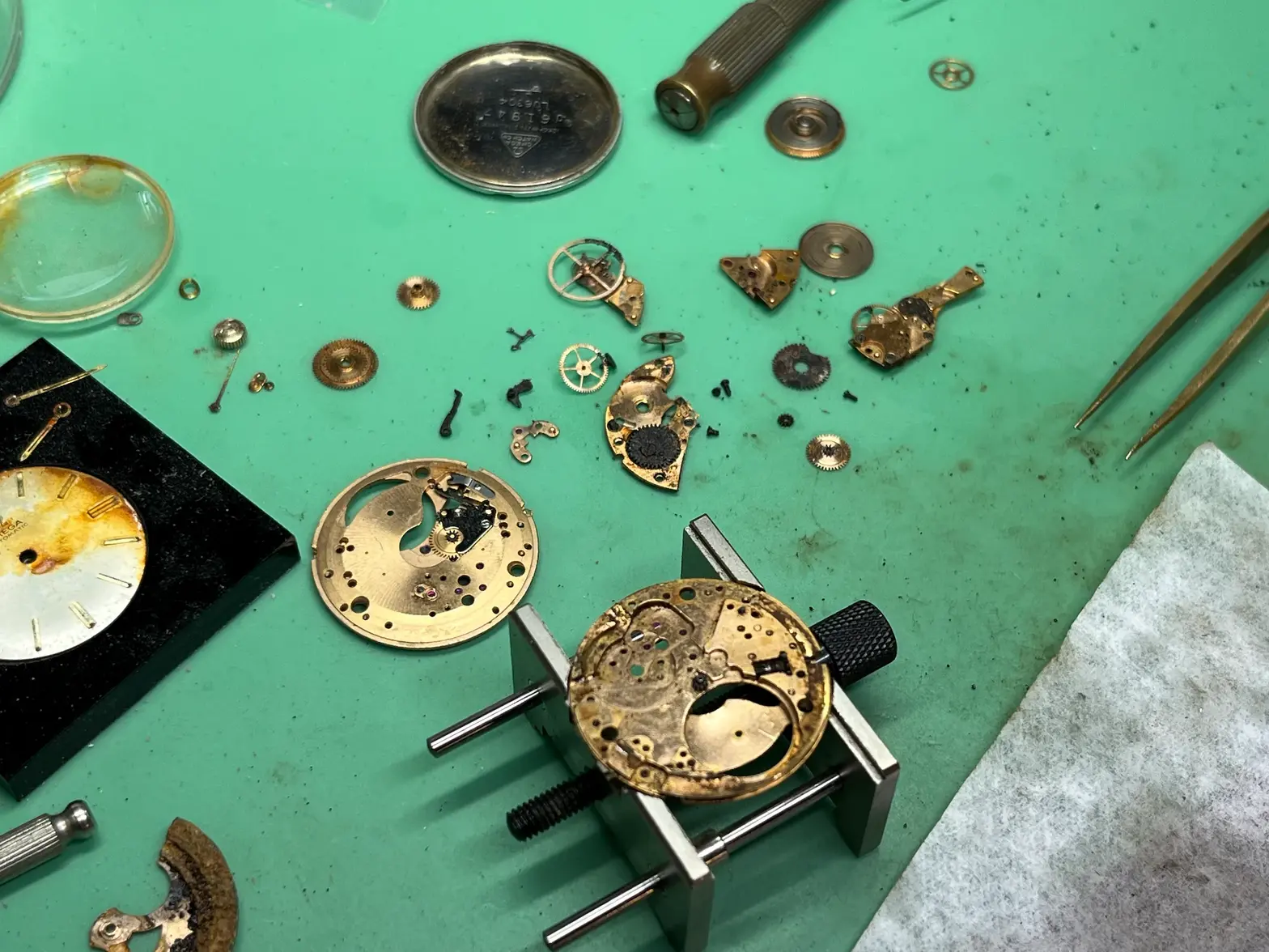 IMG_4821.webp IMG_4821.webp