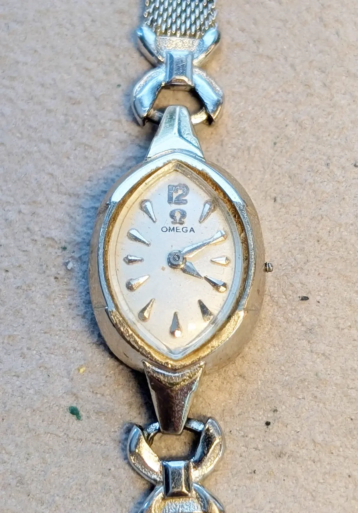 batch_PXL_20250711_211816324.PORTRAIT.ORIGINAL.webp batch_PXL_20250711_211816324.PORTRAIT.ORIGINAL.webp