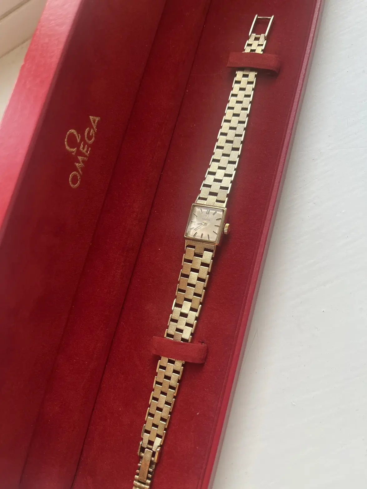 image.webp image.webp