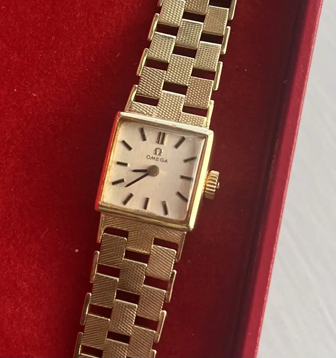 IMG_3145.webp IMG_3145.webp