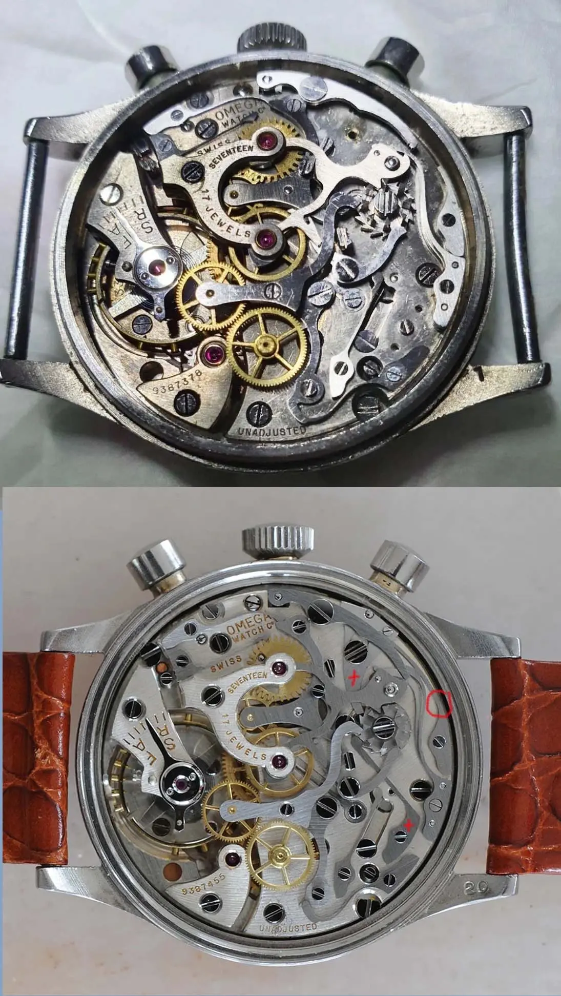 2077 movement_comp.webp