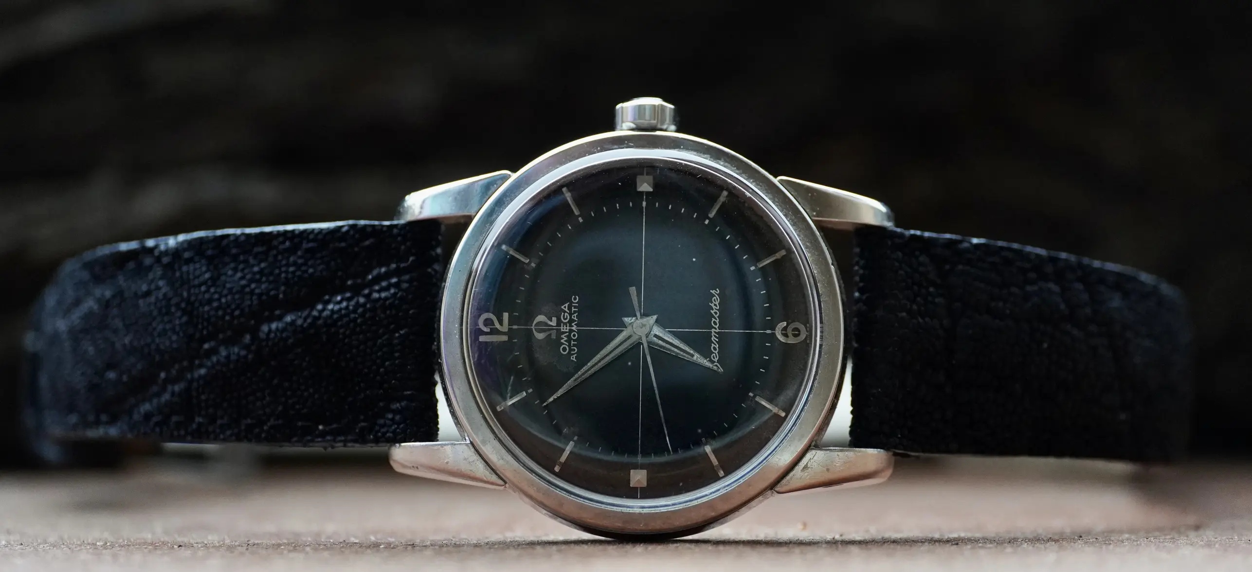 DSC05646.webp DSC05646.webp