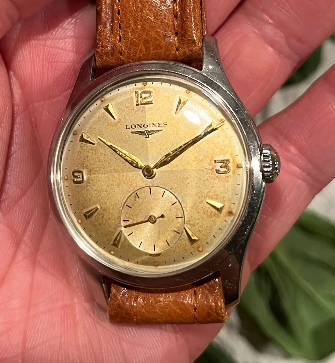 u5677358_u5909820_l683862604_BF53C676-83AF-4523-9AE9-96C9B57D9367 (1)   3.webp